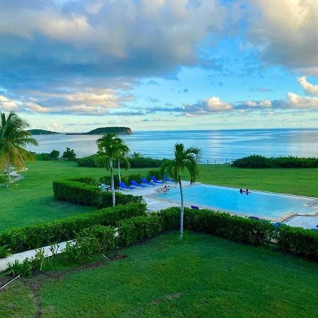 Blue Horizon Boutique Resort (Adults Only) Vieques Zewnętrze zdjęcie