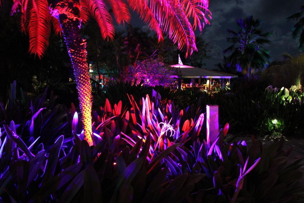 Blue Horizon Boutique Resort (Adults Only) Vieques Zewnętrze zdjęcie