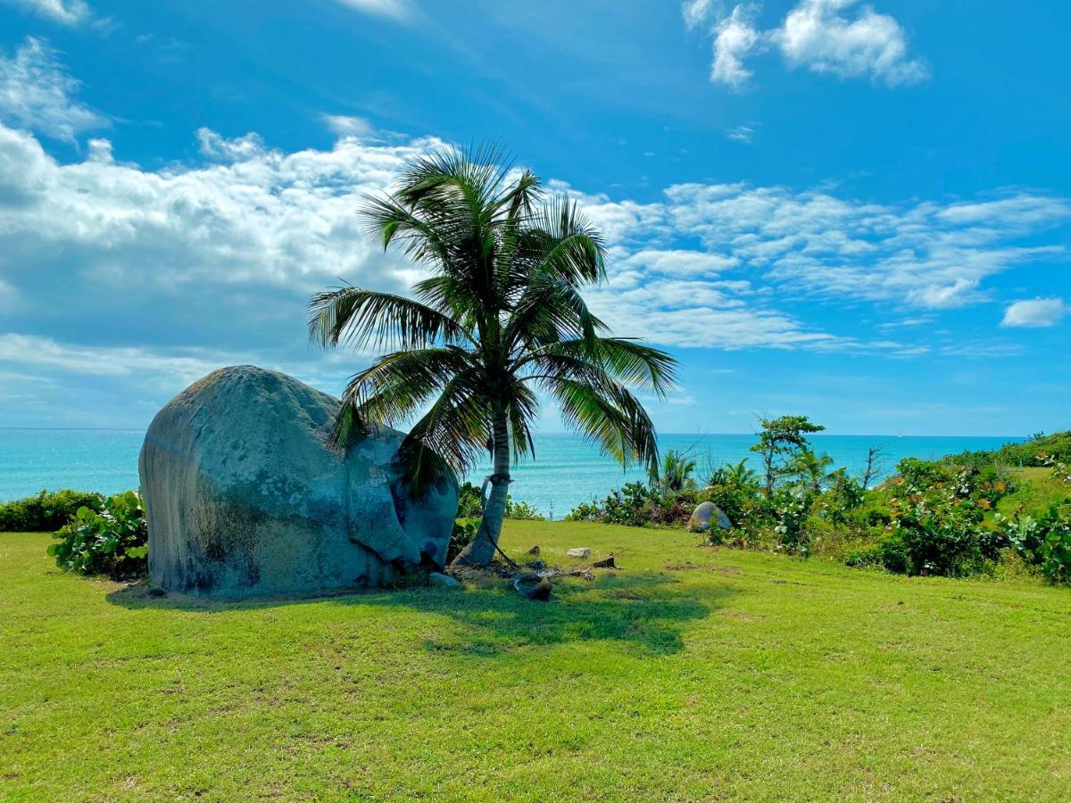 Blue Horizon Boutique Resort (Adults Only) Vieques Zewnętrze zdjęcie