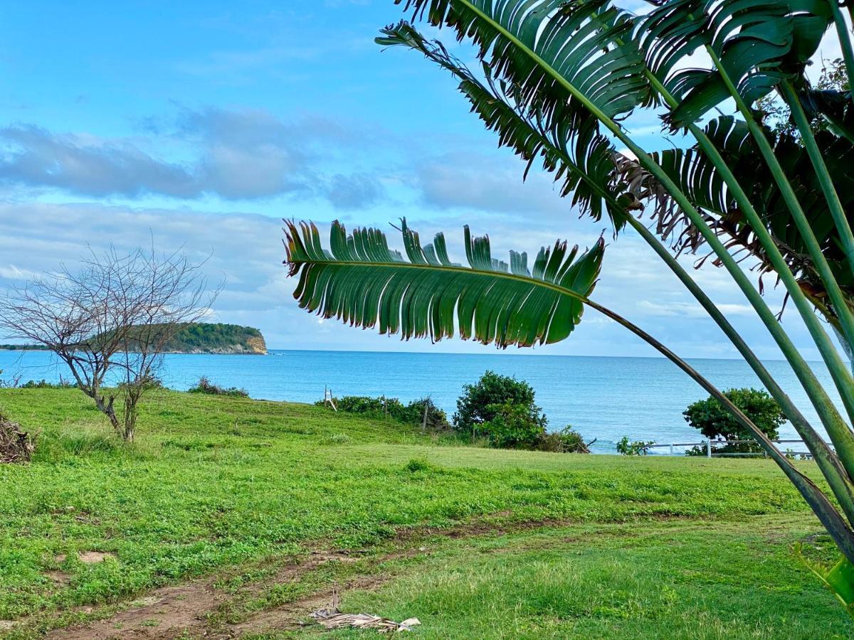 Blue Horizon Boutique Resort (Adults Only) Vieques Zewnętrze zdjęcie