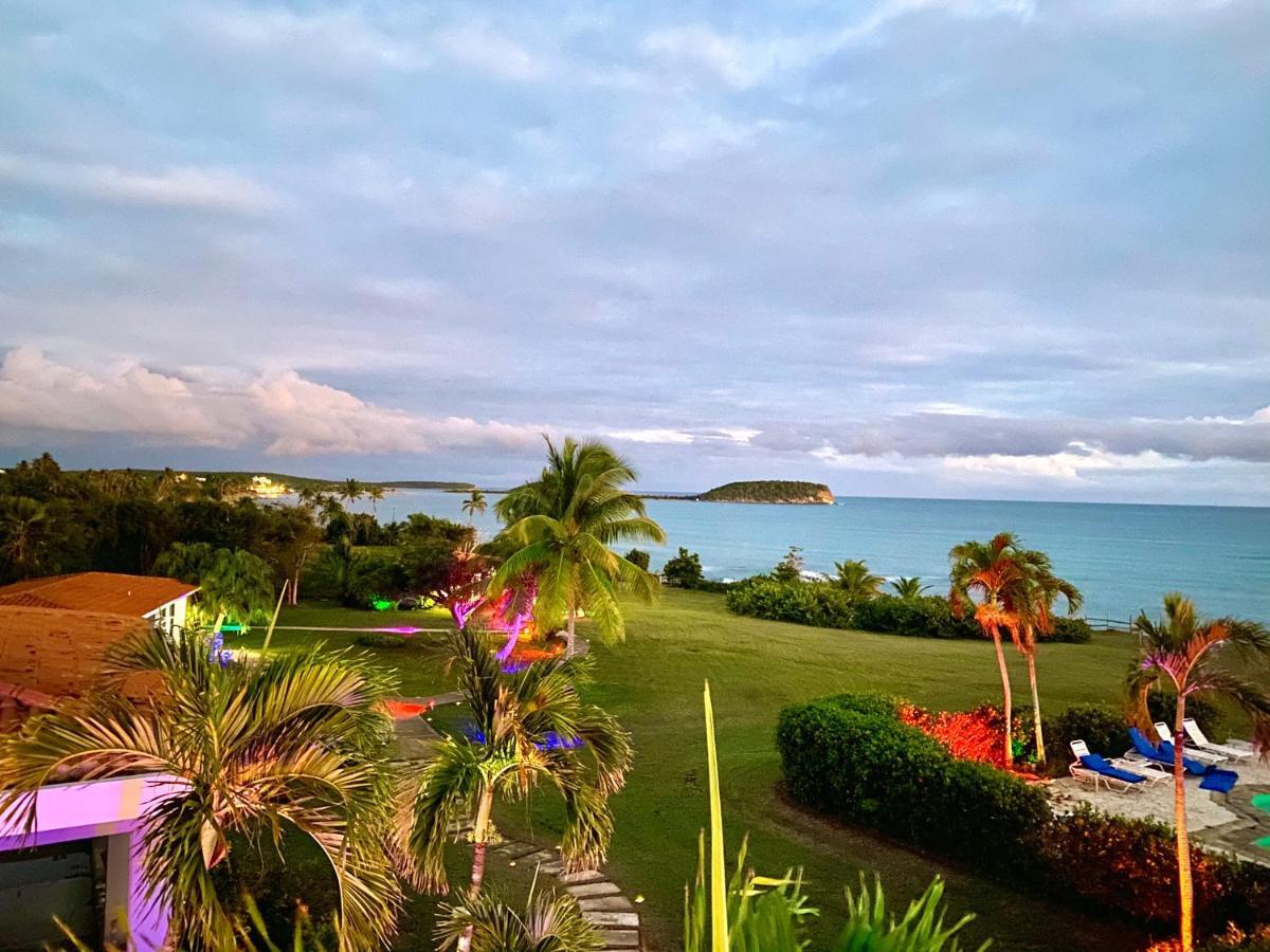 Blue Horizon Boutique Resort (Adults Only) Vieques Zewnętrze zdjęcie