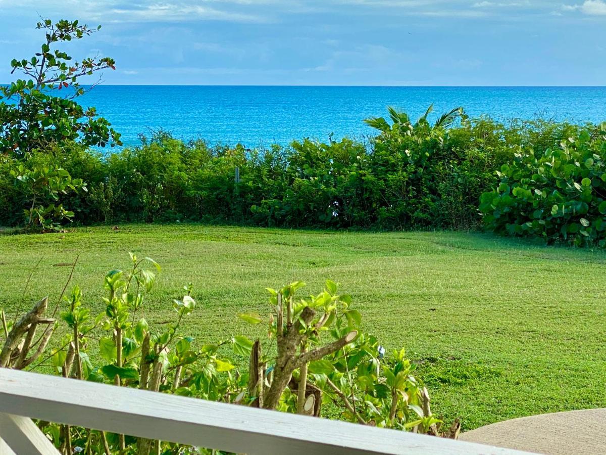 Blue Horizon Boutique Resort (Adults Only) Vieques Zewnętrze zdjęcie