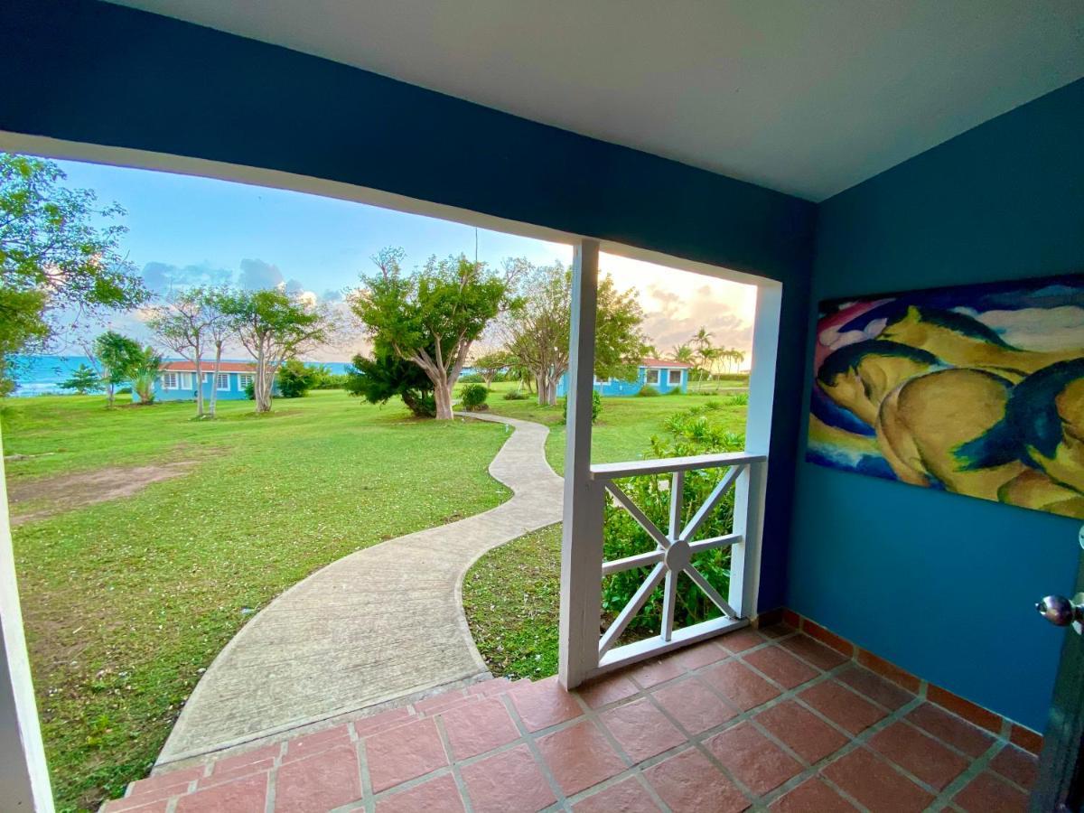 Blue Horizon Boutique Resort (Adults Only) Vieques Zewnętrze zdjęcie