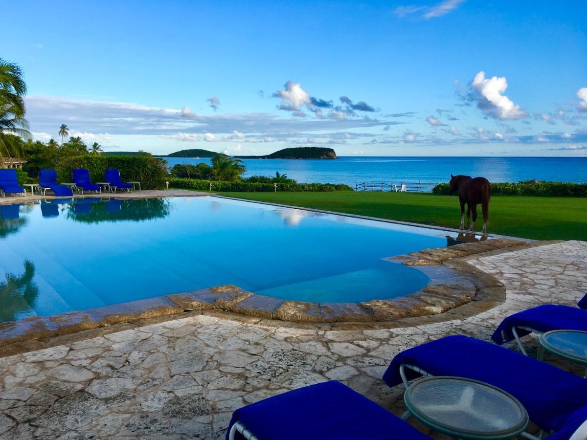 Blue Horizon Boutique Resort (Adults Only) Vieques Zewnętrze zdjęcie